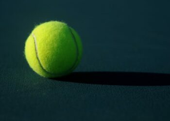 hurkacz atp wieden murray
