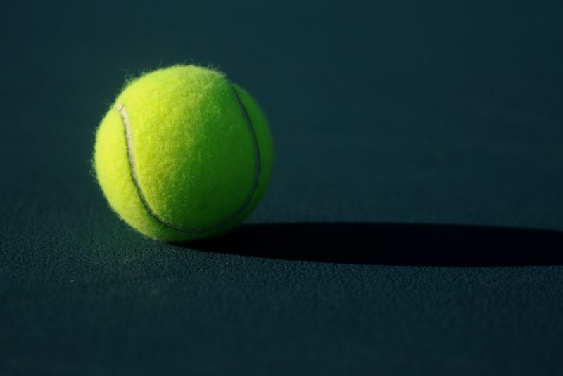 hurkacz atp wieden murray