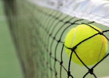 hurkacz cressy atp halle