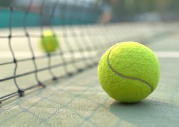 swiatek tomljanovic wta toronto