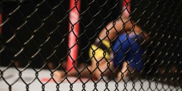 oleksiejczuk-duraev-ufc-typy
