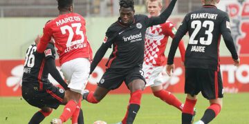 eintracht-mainz-typy