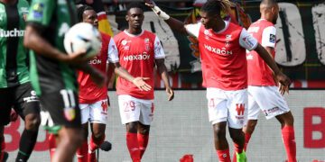 lens reims typy