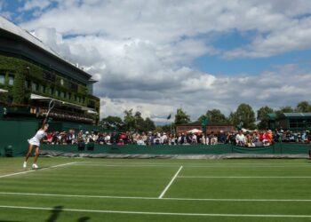 Świątek Martic typy Wimbledon