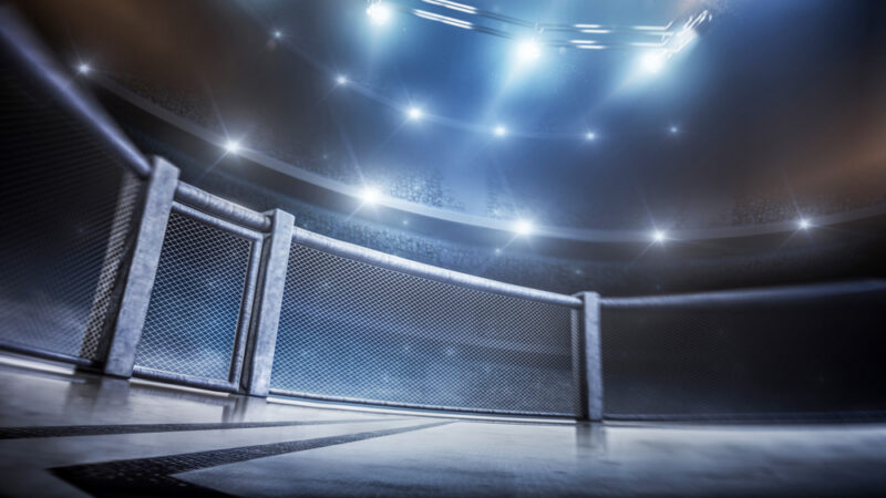 klatka mma