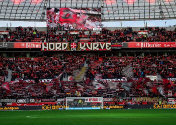 Kibice Bayeru Leverkusen podczas meczu
