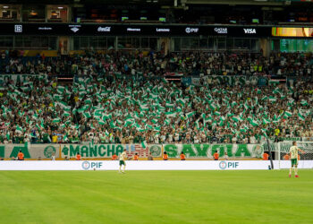 Kibice Palmeiras