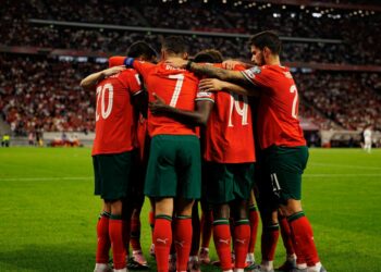 Portugalia - Irlandia: typy, kursy