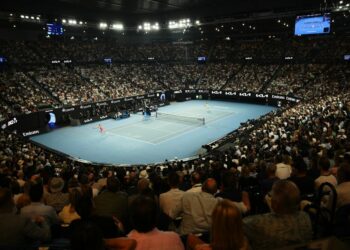 Alcaraz - Djoković: typy, kursy