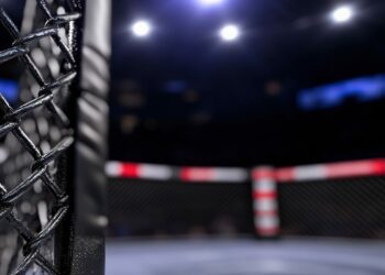 Klatka do walk MMA