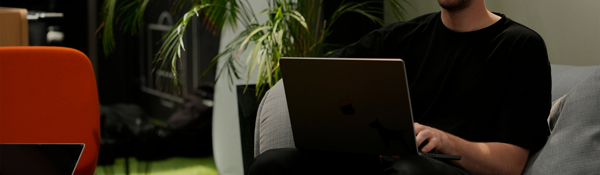 Header Image